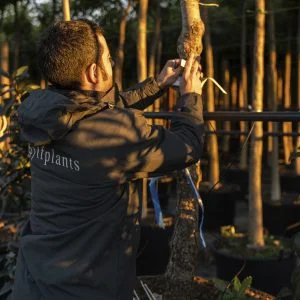 Localization d'achats