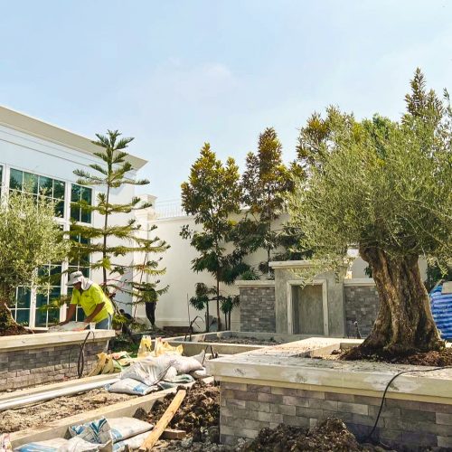 ifplants_projects_bangkok