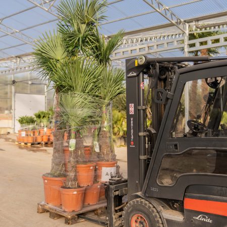 ifplants_projects_pallets (7)